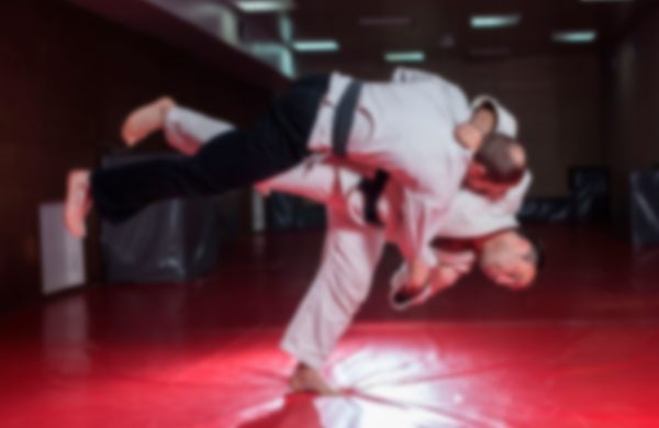 Teen & Adult Karate